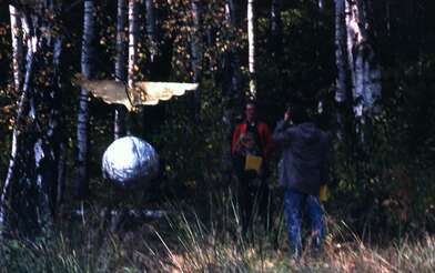 Акция КД М. Фотография - 16