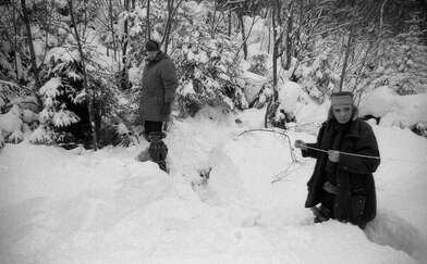 Collective action 625-520. Photo - 78