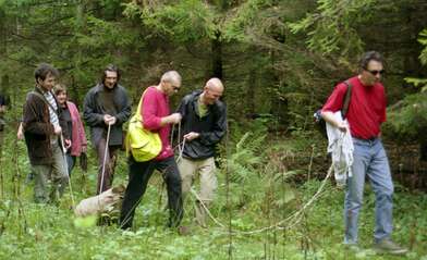 Collective action The Sack. Photo - 26