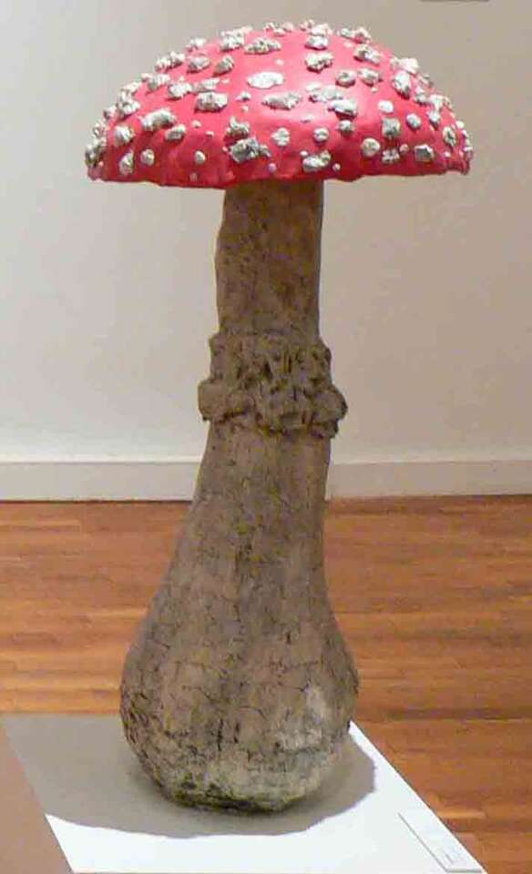 Igor Makarevich, Elena Elagina. Artwork Object &quot;Fly Agaric&quot;