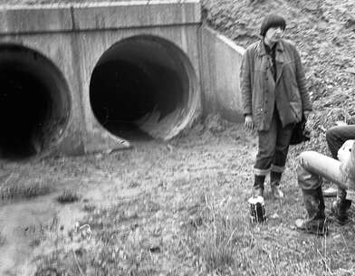 Акция КД Встреча. Фотография - 52