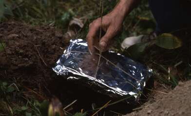 Collective action Library. Photo - 27