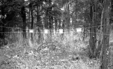 Акция КД Деревни. Фотография - 93