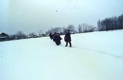 Collective action Sound Perspectives. Photo - 25