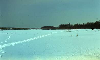 Collective action Observing the Waterfall. Photo - 65