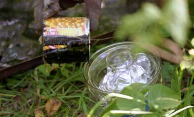 Collective action Library. Photo - 43