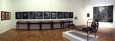 Exhibition Within the Limits of the Beautiful. Photo - 6