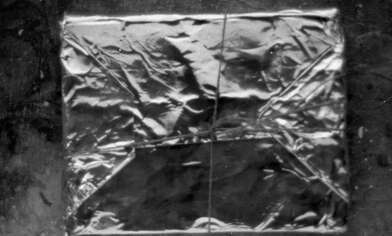 Collective action Library. Photo - 75