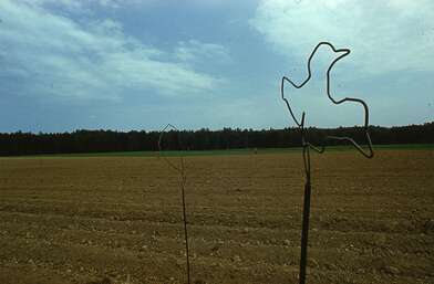 Акция КД Выстрел. Фотография - 30