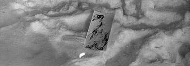 Collective action Observing the Waterfall. Photo - 61