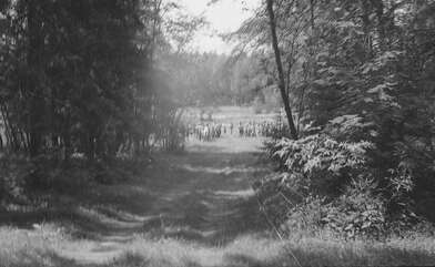 Collective action Division. Photo - 13