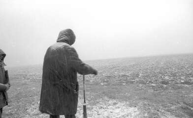 Акция КД Ворот. Фотография - 79