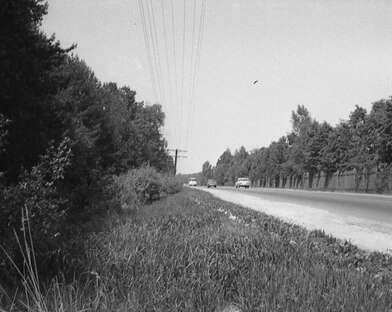 Collective action To V. Nekrasov. Photo - 4