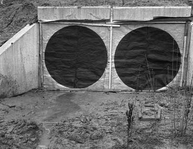 Акция КД Встреча. Фотография - 54