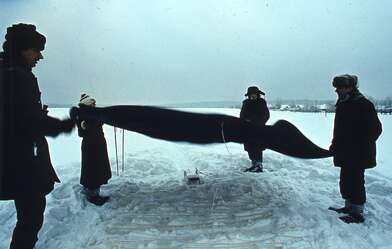 Collective action Sound Perspectives. Photo - 12