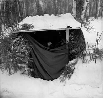 Collective action To Panitkov. Photo - 140