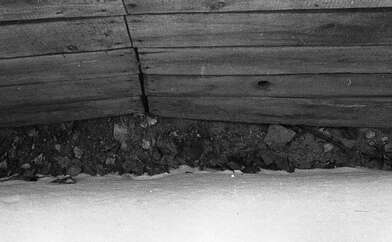 Collective action To Panitkov. Photo - 65