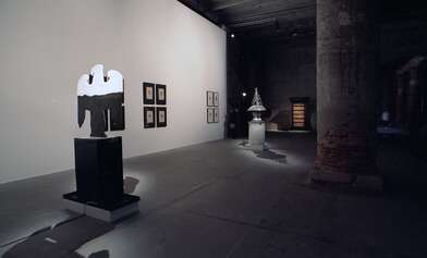 Выставка Общее дело. Проект в рамках основного проекта 53-й Венецианской биеннале современного искусства. Фотография - 5