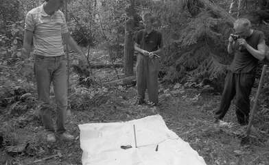 Collective action Library. Photo - 120