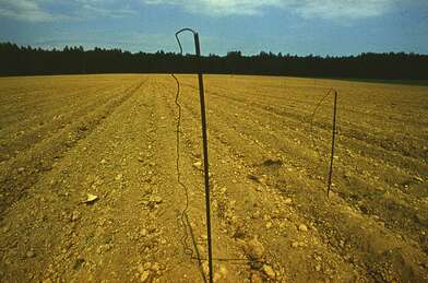 Акция КД Выстрел. Фотография - 31