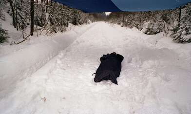 Collective action 625-520. Photo - 51