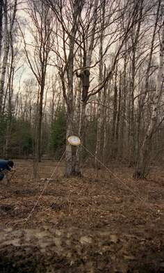 Collective action 14:07-15:13 (Watches). Photo - 34