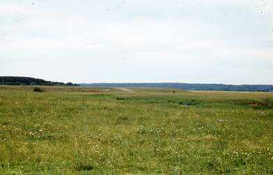 Collective action Second Picture. Photo - 5