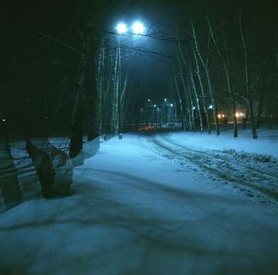 Collective action The Taxi. Photo - 11