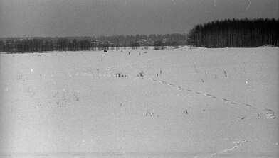 Collective action Observing the Waterfall. Photo - 14