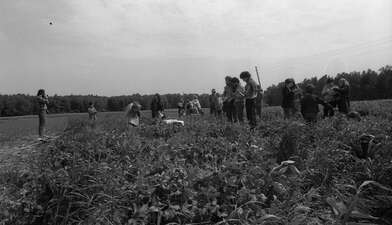 Акция КД Выстрел. Фотография - 50