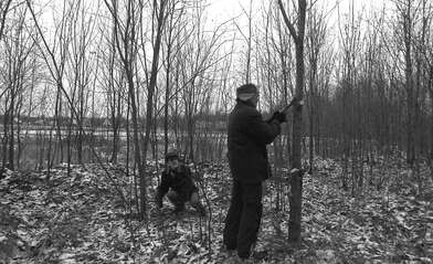 Collective action On the Clearing. Photo - 29