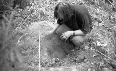 Collective action Library. Photo - 114