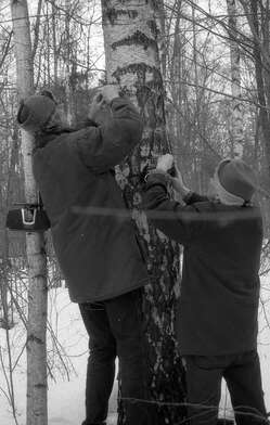 Collective action 83. Photo - 90