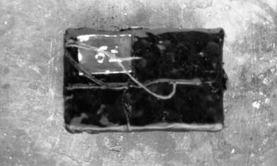 Collective action Library. Photo - 94