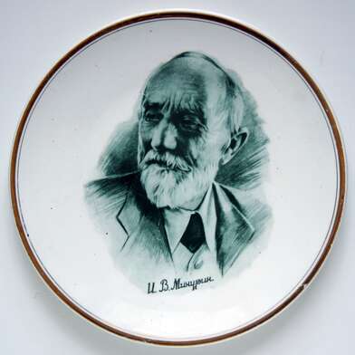 Igor Makarevich. Artwork Ivan Vladimirovich Michurin. Decorative plate