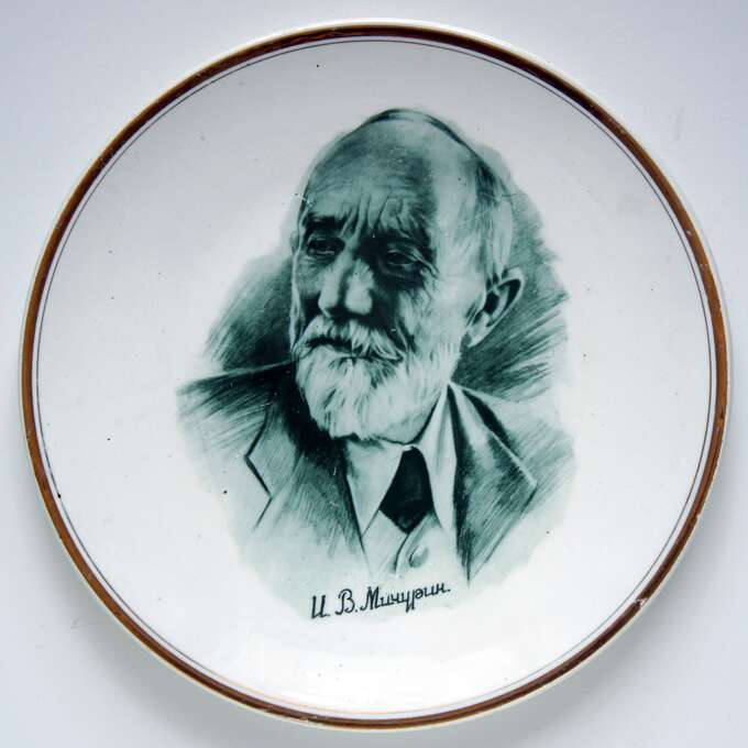 Игорь Макаревич. Иван Владимирович Мичурин. Декоративная тарелка