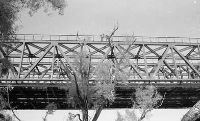 Collective action Likhoborka. Photo - 21