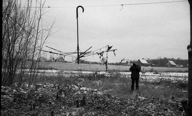 Collective action On the Clearing. Photo - 52