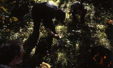 Collective action Library. Photo - 61