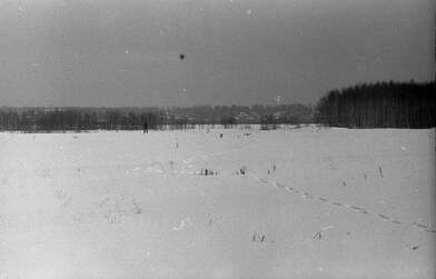 Collective action Observing the Waterfall. Photo - 16