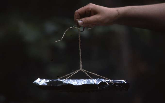 Library, August 28, 1997