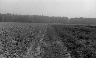 Акция КД М. Фотография - 35