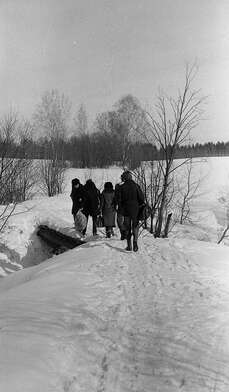 Collective action Observing the Waterfall. Photo - 3