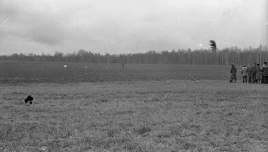 Collective action Image of a Rhombus. Photo - 22