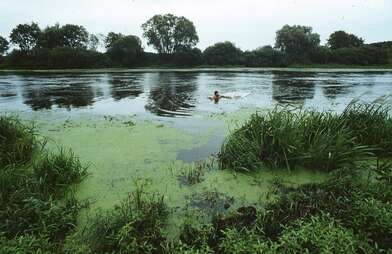 Collective action Second Picture. Photo - 9