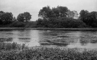 Collective action Second Picture. Photo - 33