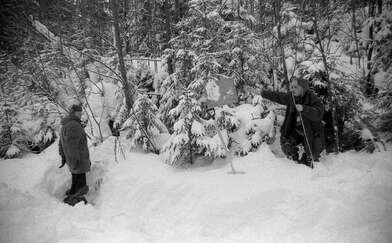 Collective action 625-520. Photo - 80