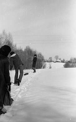 Collective action Observing the Waterfall. Photo - 7