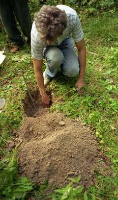 Collective action Library. Photo - 51