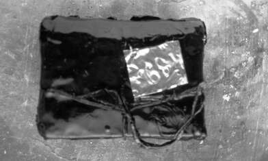 Collective action Library. Photo - 96